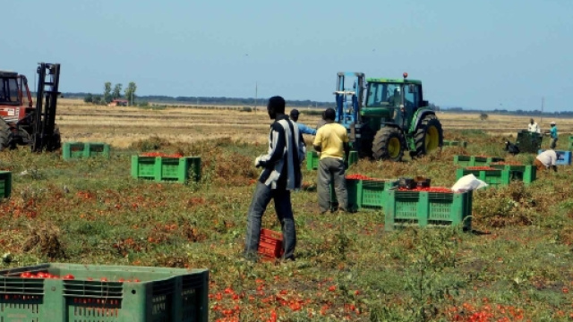 Cosenza, immigrati costretti a dormire in porcile