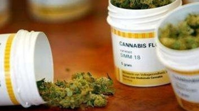 In Emilia Romagna via libera alla cannabis a scopo terapeutico.