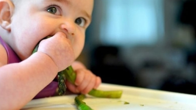 Dieta vegana: carcere per chi la impone ai minori