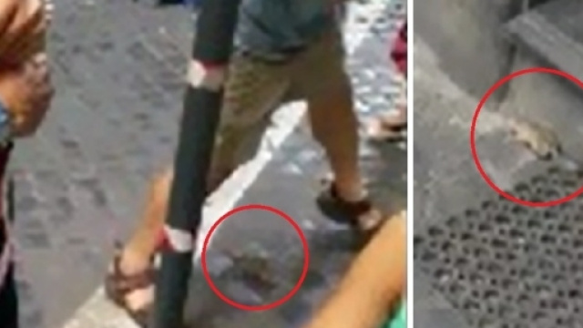 Topo assale turista nel centro di Roma