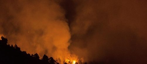 La Palma: el fuego ha devorado m&aacute;s de 4.800 hect&aacute;reas de bosque.