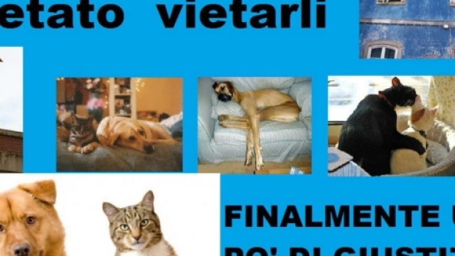 Animali domestici in condominio: regolamenti condominiali e contratti non possono vietarne il possesso.