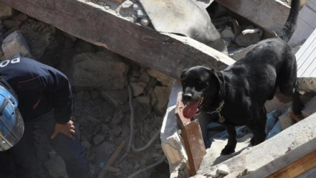 L'eroe Leo trova Giorgia viva sotto le macerie