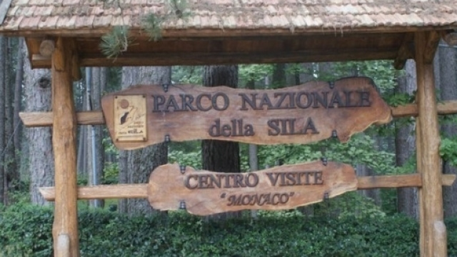 Una nuova specie di farfalla notturna scoperta in Sila.