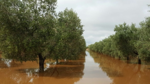 Ancora maltempo a Lecce e Taranto.