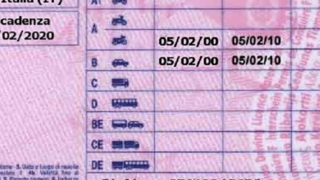 come controllare i punti sulla pante di guida?