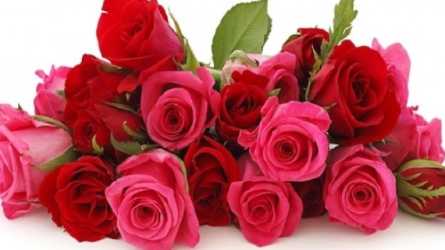Rose rosse per un amore finito!