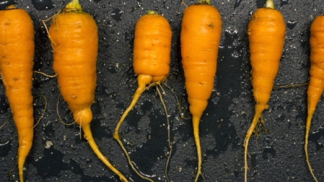 &copy; woodleywonderworks/www.flickr.com