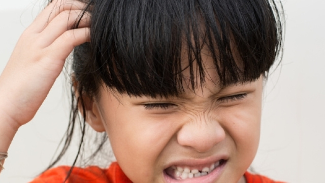 Pidocchi evoluti in Super pidocchi: occhio anche ai selfie.