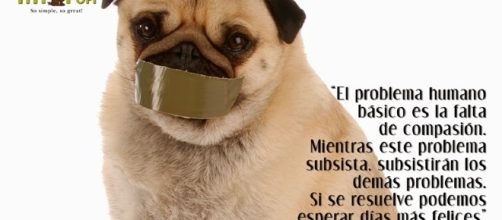 Ellos son m&aacute;s nobles y sensibles que los seres humanos.