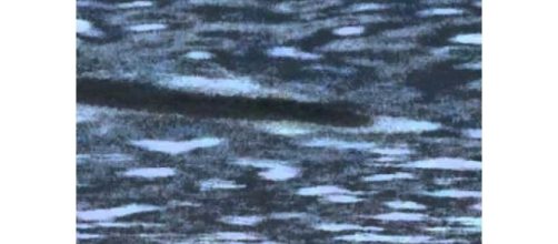 Selma, is That You?- Photo Credit: YouTube.com