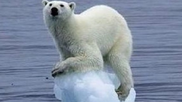 Il ghiaccio del Polo Nord regola il clima del Pianeta contribuendo alla distribuzione del calore e delle precipitazioni piovose.