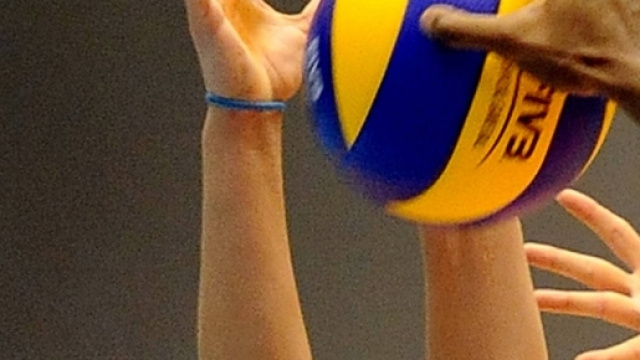 Elson Volley Pty. Ltd. Elson Volley Pty Ltd - Everything Volleyball - com.au