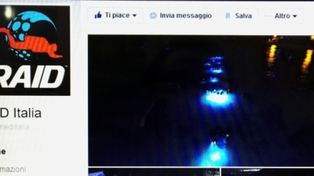 Raid Italia da Guinness World Record con l'immersione notturna pi&ugrave; numerosa