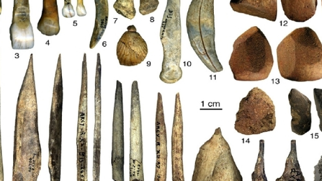 Reperti rinvenuti nella Grotte du Renne (Arcy-sur-Cure, France) realizzati in osso, conchiglia e avorio. Quelli forati sono elementi di collane