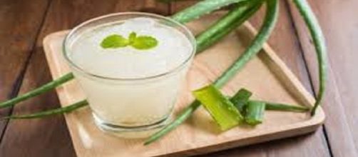 S&aacute;bila conocida como Aloe vera