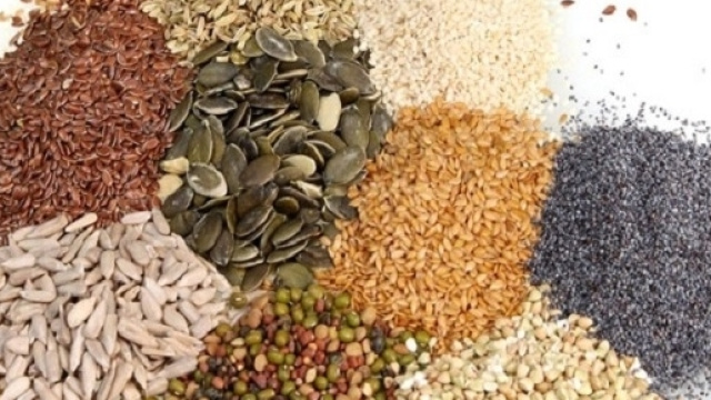 Semi OGM per l'alimentazione umana e animale