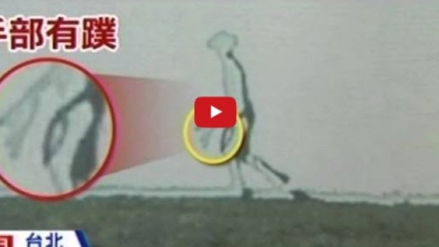 Immagine del presunto alieno ripreso a Taiwan nel 2012.
