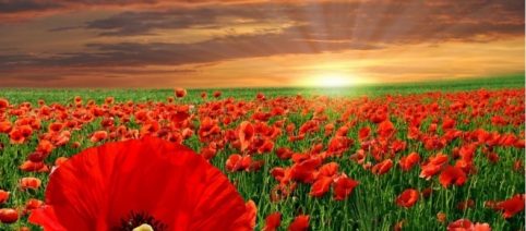 Empieza la primavera y todo cambia