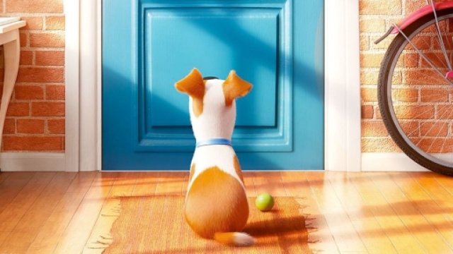 Pets &ndash; Vita da animali, ecco il terzo Trailer italiano del cartoon ... - sceglilfilm.it