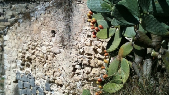 Viaggi in Sicilia: Vizzini e le meraviglie della Cavalleria Rusticana