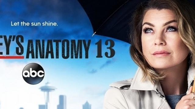 Grey's Anatomy 13, l'attesa &egrave; terminata