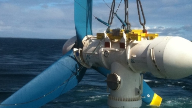 Maree, la loro forza e l'analogia con il sisma