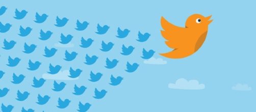 Say more on Twitter now thanks to the new changes / Photo via https://www.jisc.ac.uk/sites/default/files/twitter-birds-flight.jpg