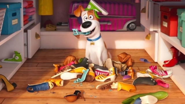 'Pets: Vita da Animali' sar&agrave; in Italia il 6 ottobre.