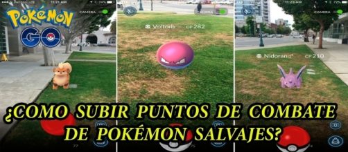 Utiliza este m&eacute;todo y se un buen maestro pok&eacute;mon.