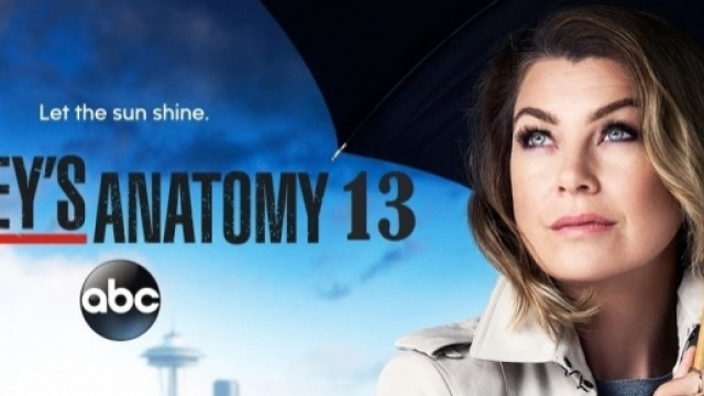 Anticipazioni Grey's Anatomy 13, data d'inizio della nuova ... - correttainformazione.it