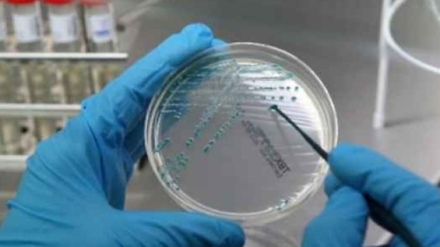 Trieste: pediatra affetta da tubercolosi vaccinava bambini.