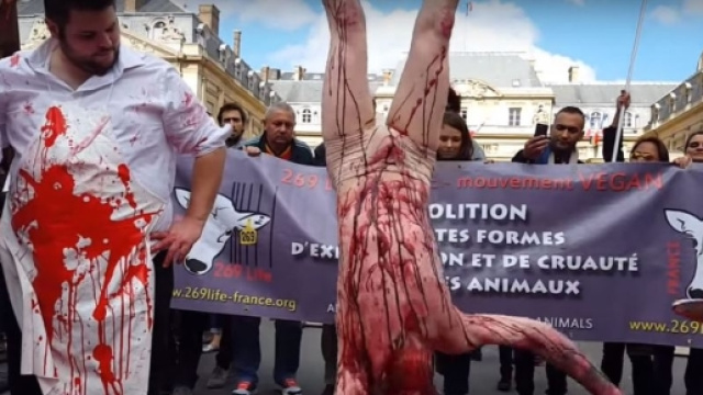Protesta vegana piazza della repubblica in Francia