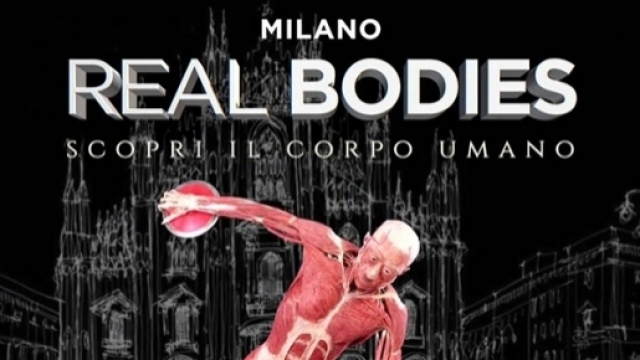 Mostra &lsquo;Real Bodies, scopri il corpo umano&rsquo;
