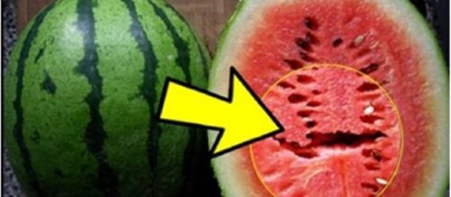Se voce encontrar uma melancia assim, descarte imediatamente