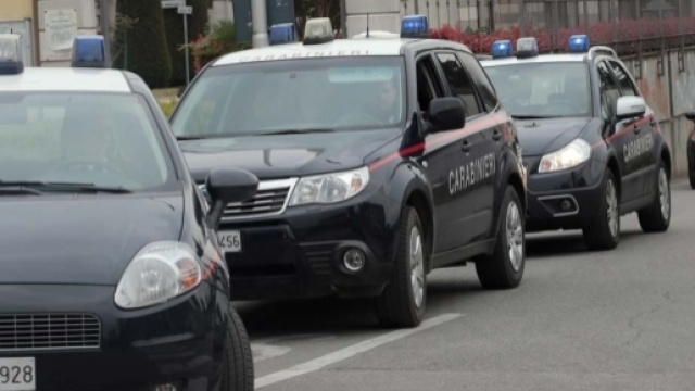 Numerose auto dei militari dell'arma in azione durante un controllo sul territorio