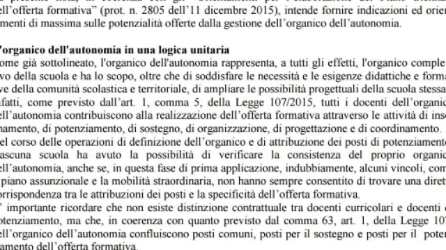 Funzionalit&agrave; e potenzialit&agrave; dell'organico dell'autonomia.