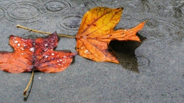 Previsioni del tempo per l&rsquo;autunno 2016