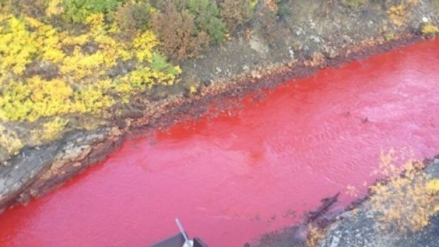 Russia, fiume diventa rosso: mistero