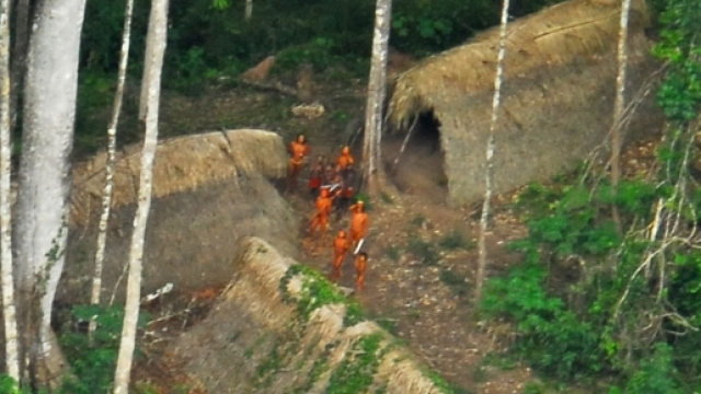 La deforestazione dell'Amazzonia va avanti a ritmo serrato