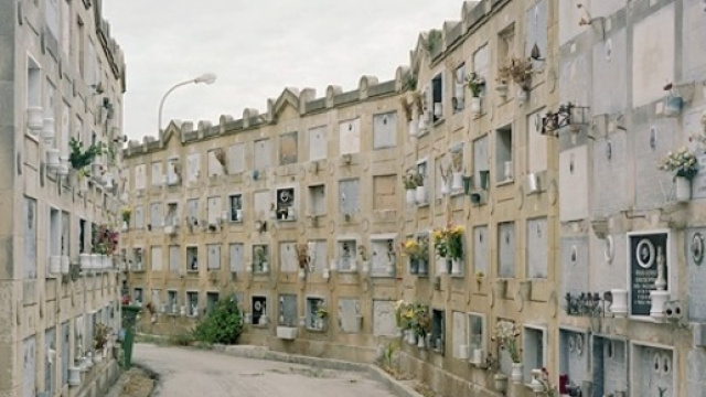 Trapani, ancora polemiche sulla questione relativa alla pulizia del cimitero - socialtp.it