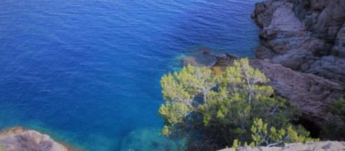 El mar inspir&oacute; a Renoir en algunas de sus obras.