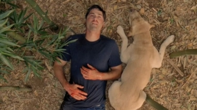 Blue Monday: le scene pi&ugrave; tristi delle serie tv, da "Lost" a "The Walking Dead"