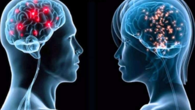 Ecco perch&egrave; il nostro cervello limita i nostri istinti