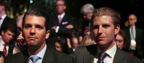 Donald Jr. and Eric Trump, taking over Trump Organization from President Dad / Photo from 'Daily KOs' - dailykos.com