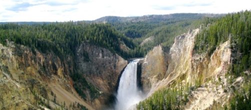 News/Articles &ndash; Greening Youth - gyfoundation.org