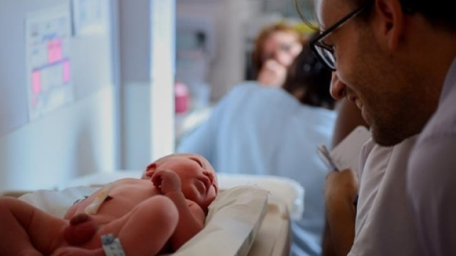 Bonus pap&agrave; INPS 2017, come funziona e come richiederlo