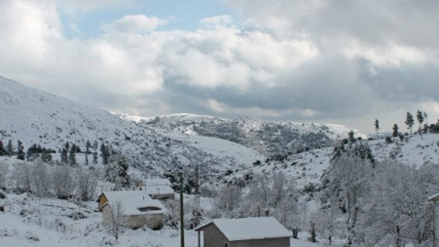 La neve &egrave; il gelo arrivano anche in Sardegna