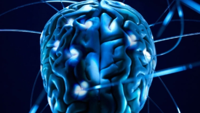 Sicuri che esistano cervelli maschili e femminili? - Wired - wired.it