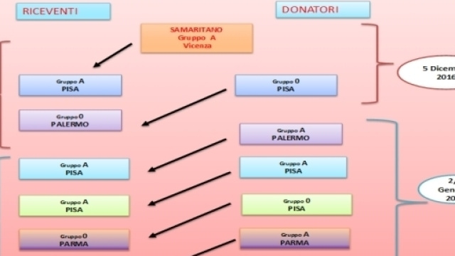 Catena di trapianti con donatore 'samaritano'
